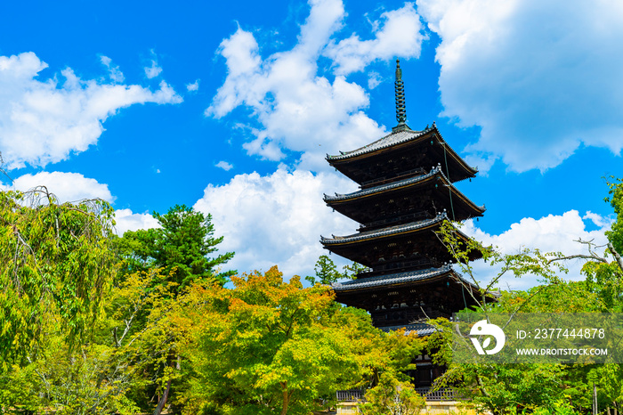 仁和寺 京都観光 日本