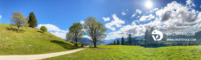 Building land in the mountains for new construction project on green sunny meadow, plot for construction area