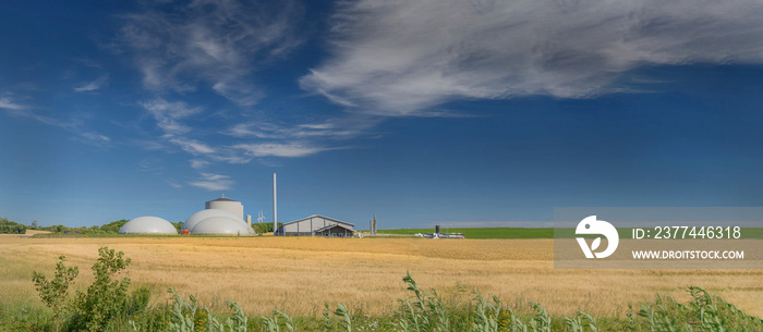 Banner of cornfield with agricultural factory in the background in the countryside.