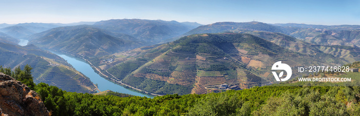 Amazing views of Douro vineyards from Sao Leonardo De Galafura viewpoint, Portugal