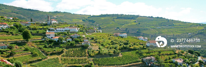 La vallée du Douro, Portugal