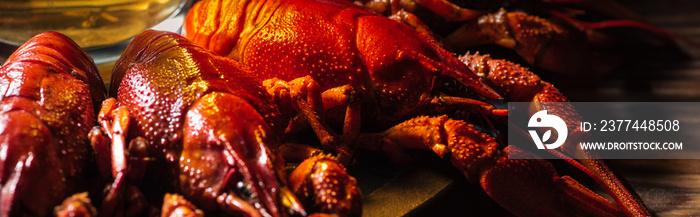 Panoramic shot of beer glass on plate with red lobsters at wooden surface