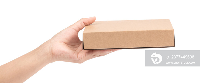 hand holding brown paper box package isolated on white background