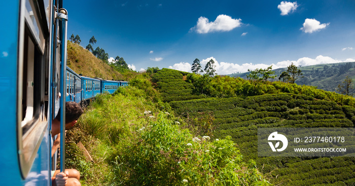 train from Nuwara Eliya to Kandy among tea plantations in the highlands of Sri Lanka