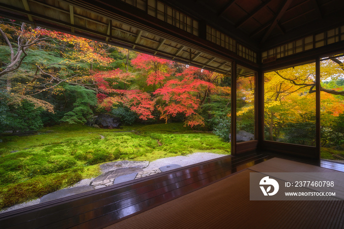 Colorful autumn leaf japanese garden in old temple in Kyoto, Japan