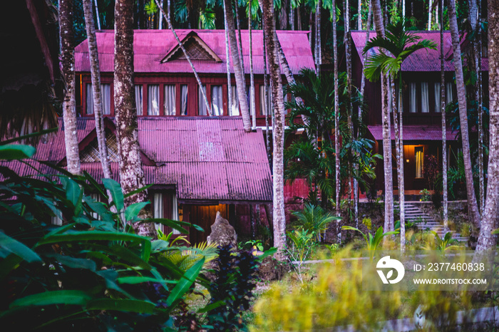 an eco resort during sunrise in havelock andaman india