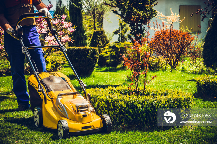 Mowing the grass. A man mows the grass with an electric mower. The concept of working in the garden and caring for the beauty of the garden. The gardener mows the grass with a battery mower.