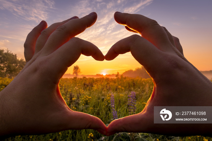 Hands in the shape of heart against the sunset or sunrise over the field with young flowers and grass in the summer with a cloudy sky background. Landscape.