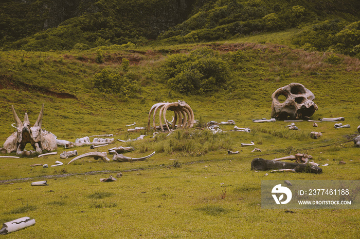 Kong Skull Island. Kualoa is a private nature reserve and working cattle ranch, as well as a popular tourist attraction and filming location on the windward coast of Oʻahu in Hawaiʻi.