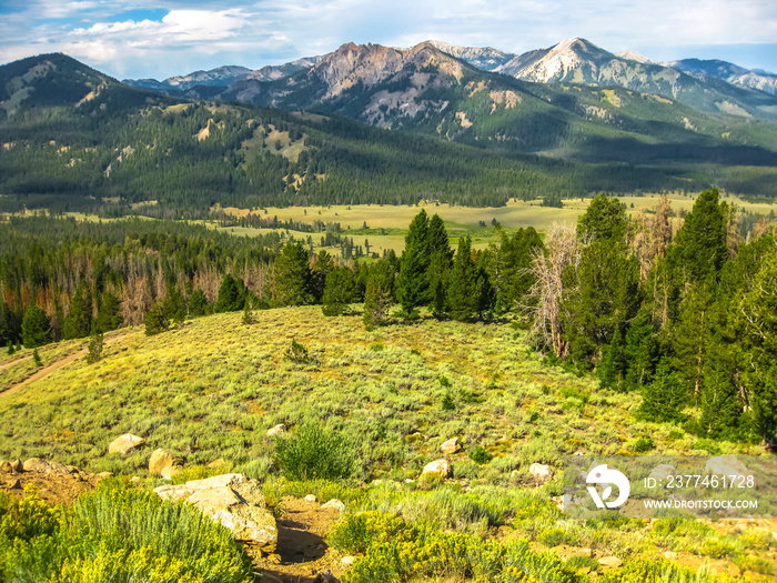 Landscape of the Sawtooth National Forest in the southern Sawtooth Valley, in the heart of Idaho, United States.