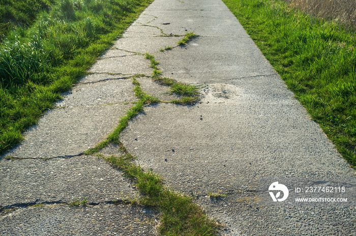 Old concrete path with cracks and overgrown with grass, used for cycling or walking.