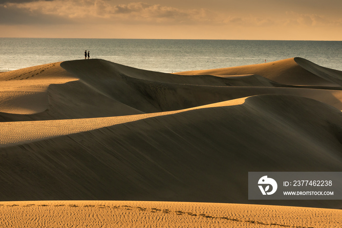 Maspalomas dunes in sunrise light. Gran Canaria sandy coast.