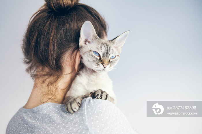 Devon Rex cat sits on owners shoulder.  Adorable feline  behavior concept. Cat feels happy, safe and comforted.