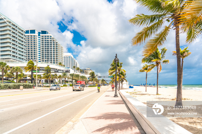 Seafront beach promenade with palm trees on a sunny day in Fort Lauderdale