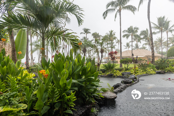 Rain in paradise, Oahu, Hawaii