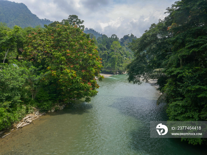 Landscape view on Batang river and surrounding tropical jungle with hanging bridge in background, Tangkahan, Gunung Leuser National Park, North Sumatra, Indonesia