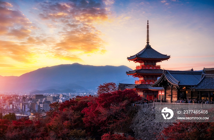 sunset at Kiyomizu Dera Pagoda Temple with red maple leaves or fall foliage in autumn season. Colorful trees, Kyoto, Japan