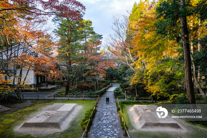 京都 秋の法然院