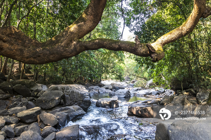 Dudhsagar Waterfall, Goa, India.