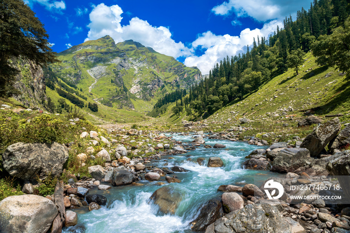 Mountain river in the mountains. The beautiful river flowing between alpine meadows in the lap of Himalaya, Parvati valley, trek to Hamta Pass, 4270 m in Parvati valley in Himalaya, India.