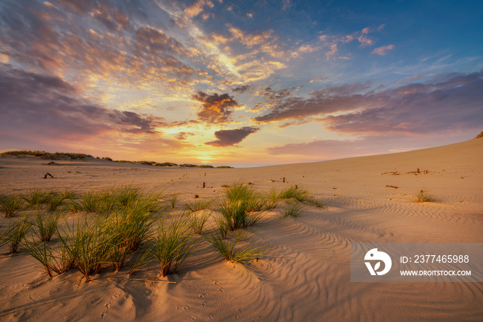 Beautiful dessert landscape during golden hour