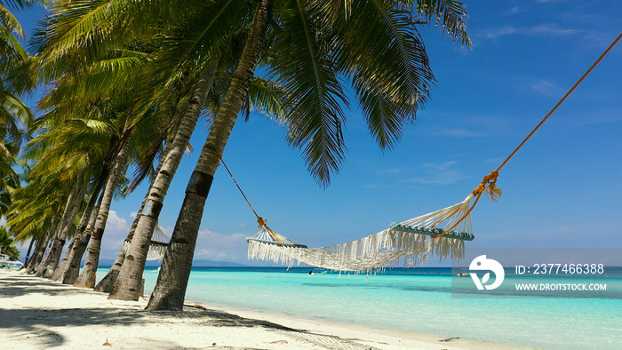 Beautiful tropical island with sand beach and hammock. Panglao, Philippines. Seascape with beautiful beach and palm trees.