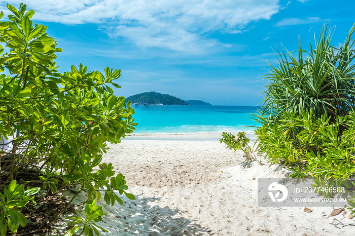 Beautiful view with blue sky and clouds, blue sea and white sand beach on Similan island, No.8 at Similan national park, Phuket, Thailand is most popular for tourist. Copy space for vacation.