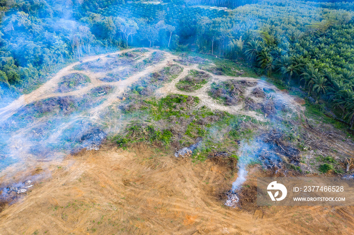 Aerial view of deforestation.  Rainforest being removed to make way for palm oil and rubber plantations