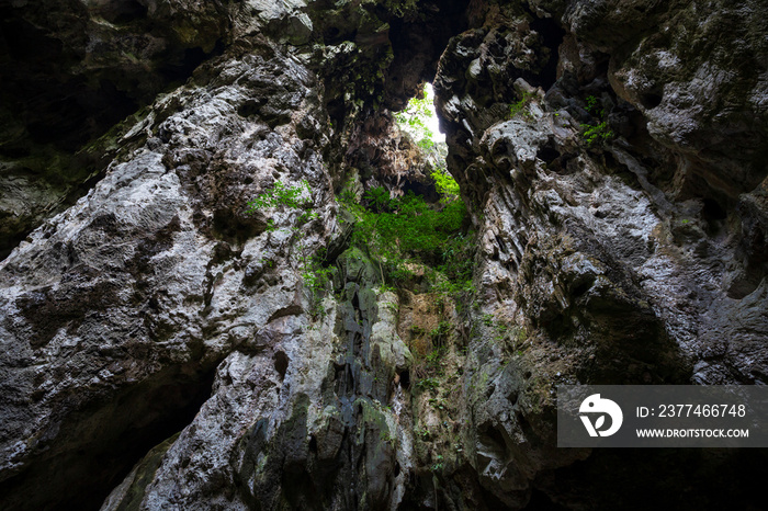 View from inside deer cave in gunung mulu national park
