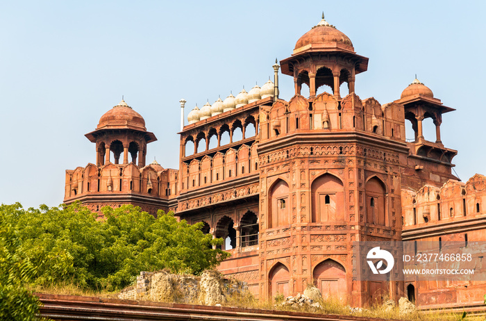 Delhi Gate of Red Fort in Delhi, India