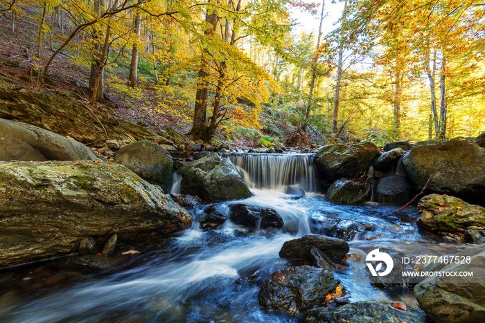 Forest waterfall.