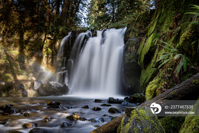 McDowell Creek Oregon Cascade Range