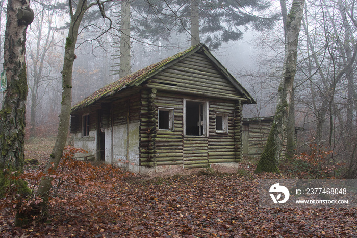 Side and front of abandoned cabin in the woods with an old wooden shed in the background on a fall day in the Palatinate forest of Germany.