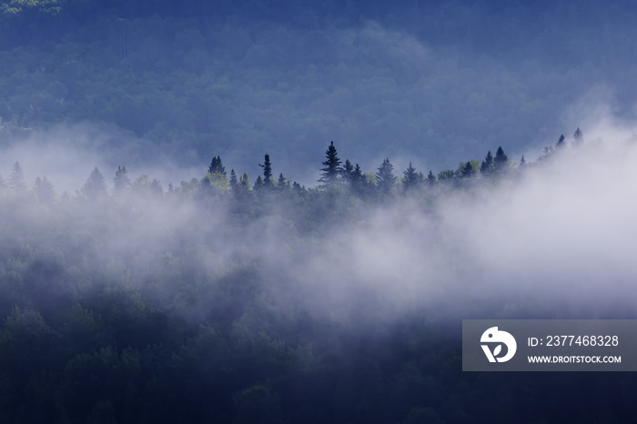 Summer morning in La Mauricie National Park, Quebec, Canada