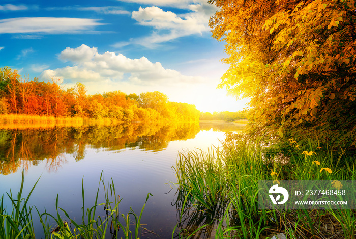 Autumn on river