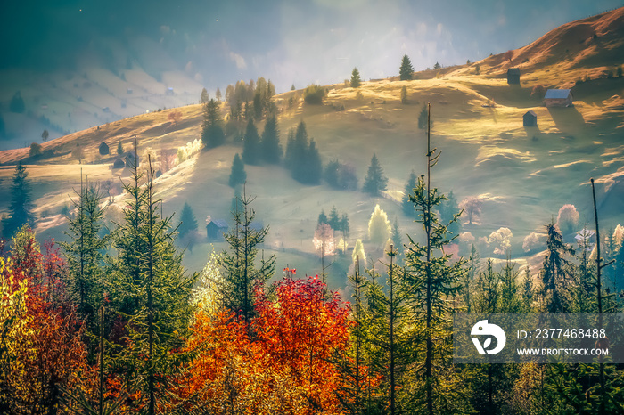 Beautiful landscape mountain hill meadow sunrise morning village Bucovina Romania