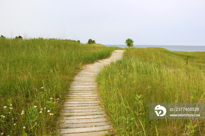 Kohler-Andrae State Park. Summer landscape with hiking trail through sand dunes lead to the lake Michigan beach. Nature of Wisconsin background. Travel midwest USA. Summer nature background.