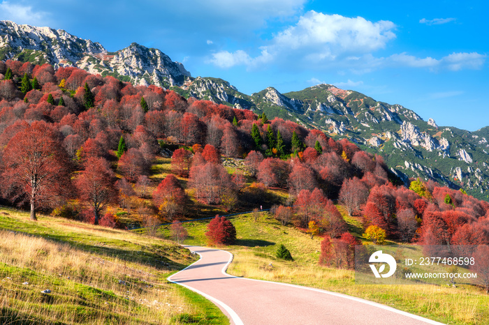 Wonderful autumn landscape on the Monto Baldo with curvy mountain road, Italy