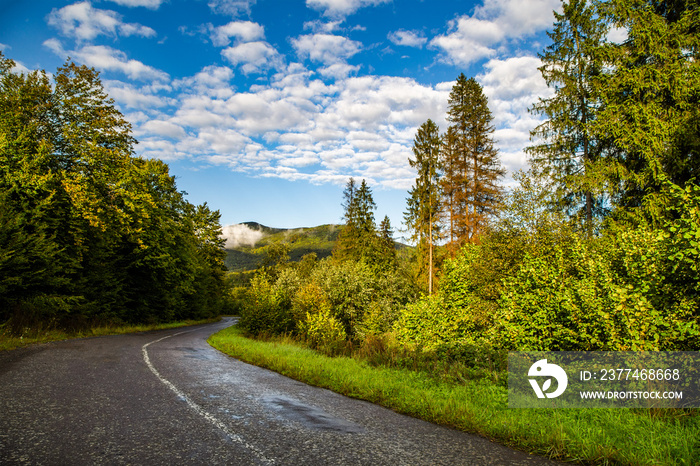 adventure trip. road near the forest. road leads to the mountains in the fog on a clear summer day.