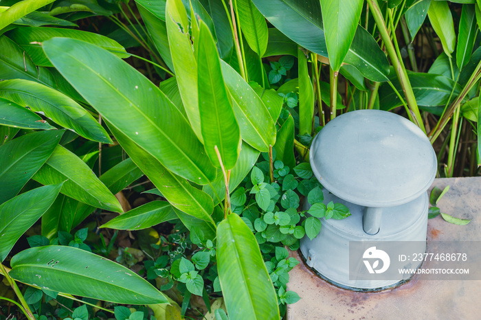 outdoor loud garden speaker sound music in backyard.