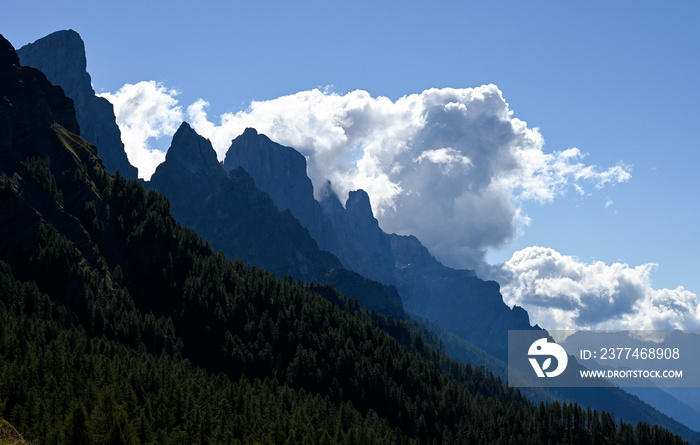 Paysage de montagne autour du col de Rolle dans le massif des Dolomites et le parc naturel Paneveggio en Italie en été