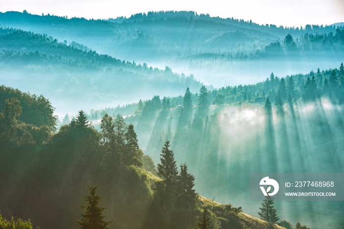 Majestic view of alpine valley covered with blue fog