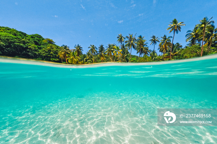 Tropical Island Palm and underwater, Snorkeling in the sea