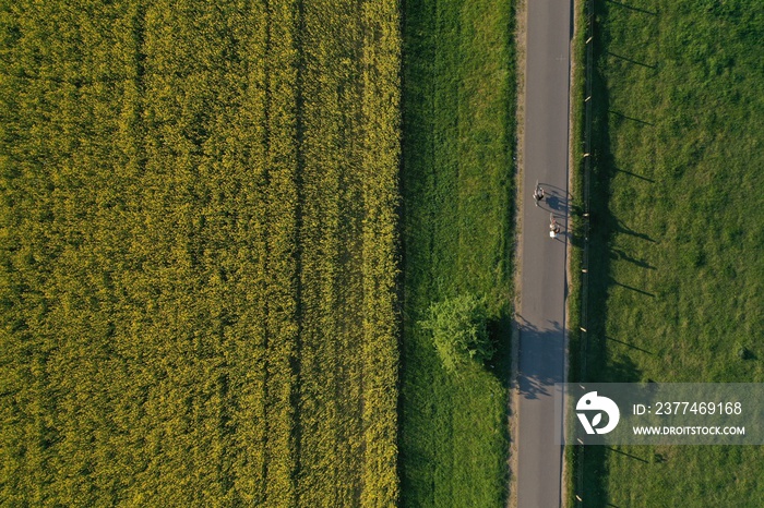 Top down view of people on a bicycle in nature