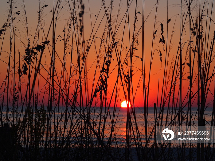 Lido Key Beach Sunset Sarasota, Fl