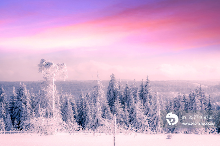 Beautiful winter wonder landscape Black Forest, Germany