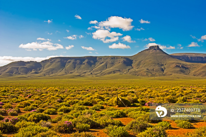 Landscape of green mountain in Tankwa Karoo