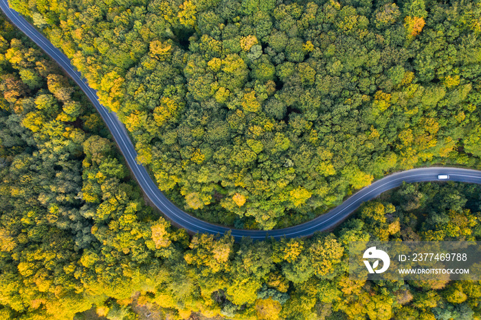 Country road at autumn