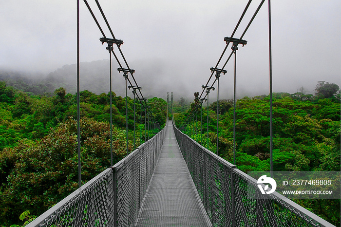 Suspension bridge Costa Rica Monteverde Cloud Forest