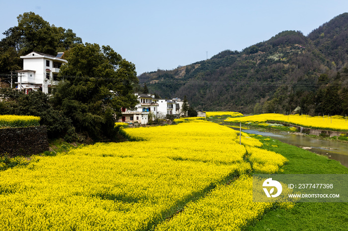 新安江山水画廊风景区